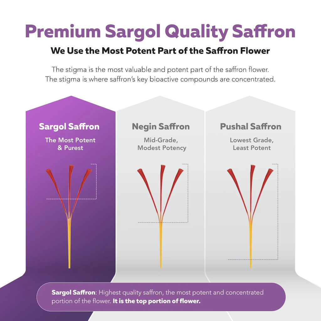 Saffron+ Advanced Supplements, 60 Veggie Capsules