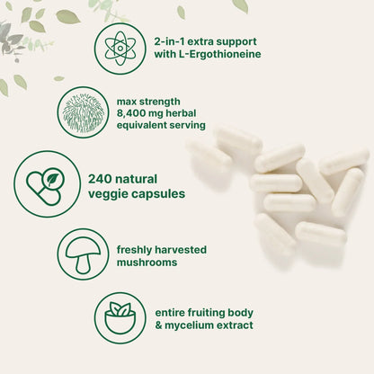 Lions Mane with L-Ergothioneine  8,400 mg